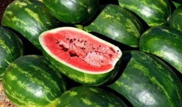 吃瓜网红高清图片大全集,全网热传！吃瓜网红高清美图大集合